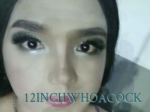 12INCHWHOACOCK