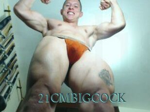 21CMBIGCOCK