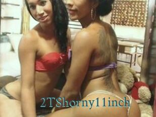 2TShorny11inch