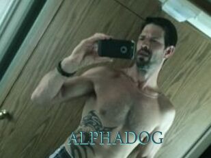 ALPHADOG