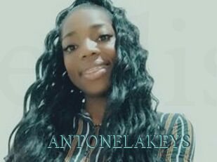 ANTONELAKEYS