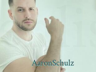 AaronSchulz