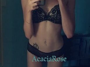 AcaciaRose