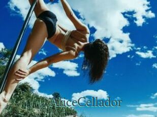 AliceCellador