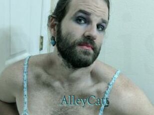 AlleyCatt