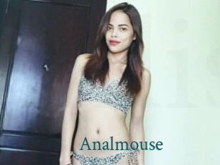 Anal_mouse
