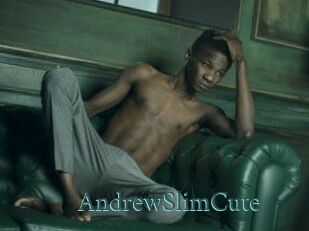 AndrewSlimCute