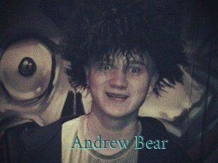 Andrew_Bear