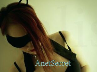 AnetSecret