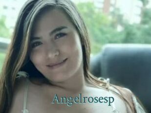 Angelrosesp