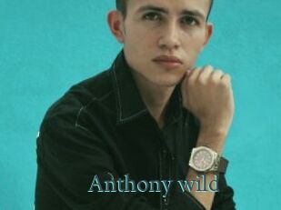 Anthony_wild