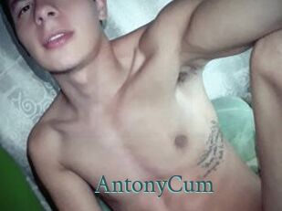 AntonyCum