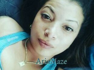 Aria_Maze