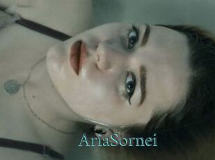 AriaSornei