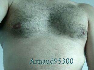 Arnaud95300