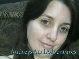 AudreysAnalAdventures