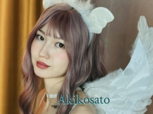 akikosato En live show