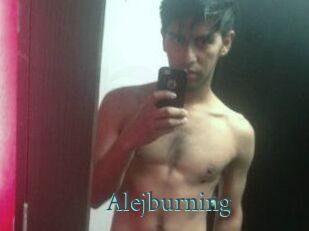 Alejburning