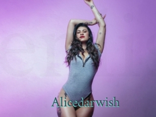 Alicedarwish