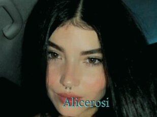 Alicerosi