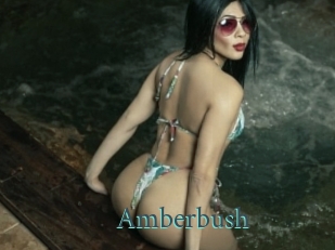 amberbush En live show