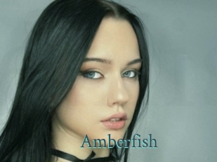 amberfish En live show