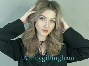 amitygillingham En live show