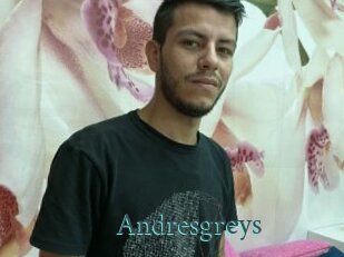 Andresgreys