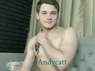 Andycatt