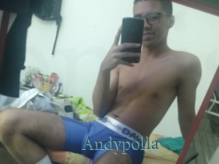 Andypolla