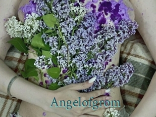 Angelofgrom