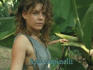 Aniccaspinelli