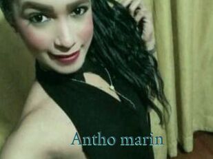 Antho_marin
