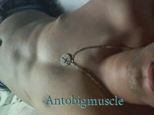 Antobigmuscle