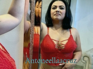 Antoneellaacruz