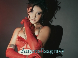 Antonellaagrayy