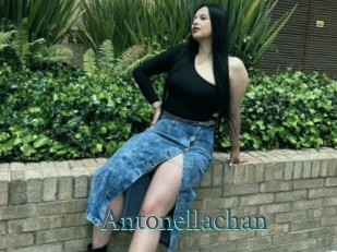 Antonellachan
