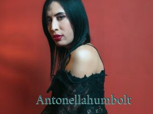 Antonellahumbolt