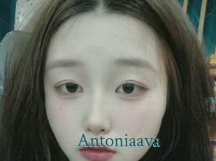 Antoniaava