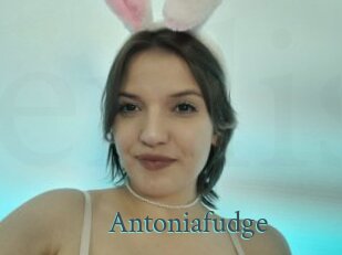 Antoniafudge