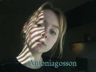 Antoniagosson