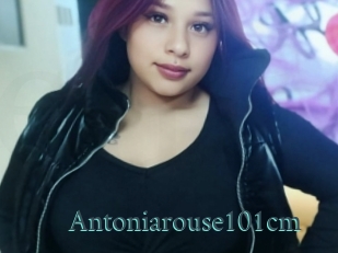 Antoniarouse101cm
