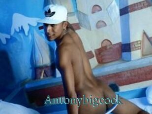 Antonybigcock