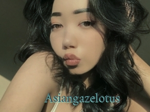 Asiangazelotus