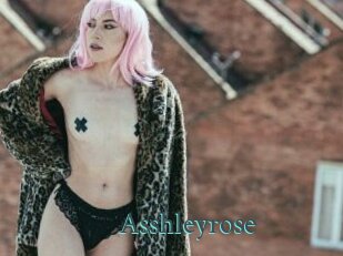 Asshleyrose