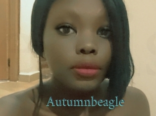 Autumnbeagle
