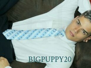 BIGPUPPY20