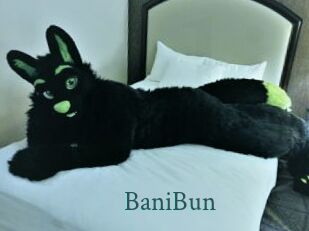 BaniBun