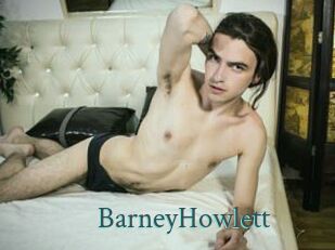BarneyHowlett