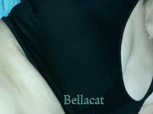 Bella_cat